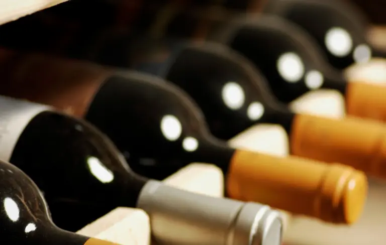 Como Montar Sua Adega em Casa: Guia Prático com e sem Climatização - Semana Paulistana do Vinho
