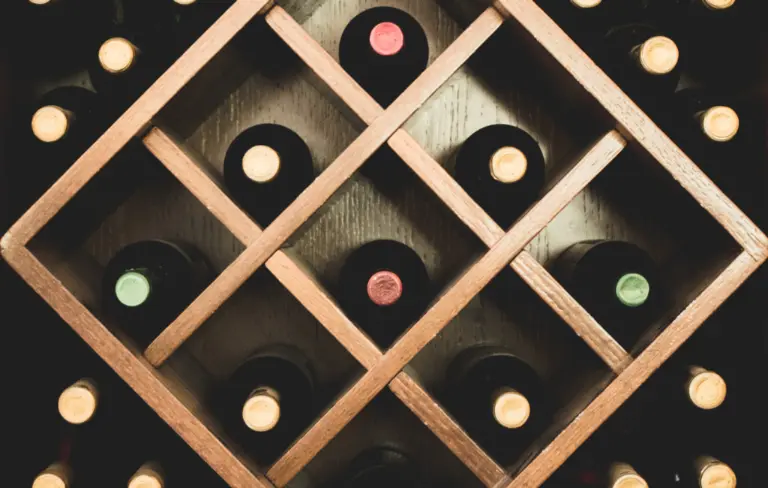 Vinho para Iniciantes: O Guia Definitivo para Começar com o Pé Direito - Semana Paulistana do Vinho