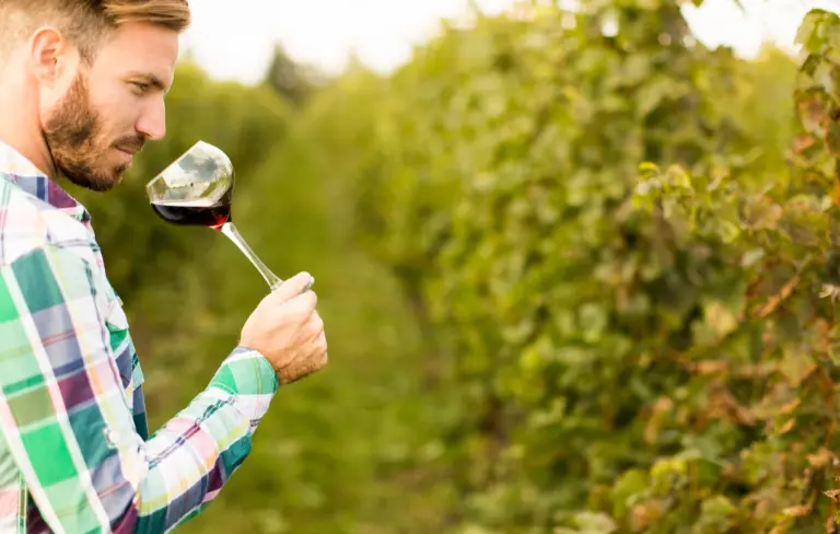 Vinho para Iniciantes: O Guia Definitivo para Começar com o Pé Direito - Semana Paulistana do Vinho