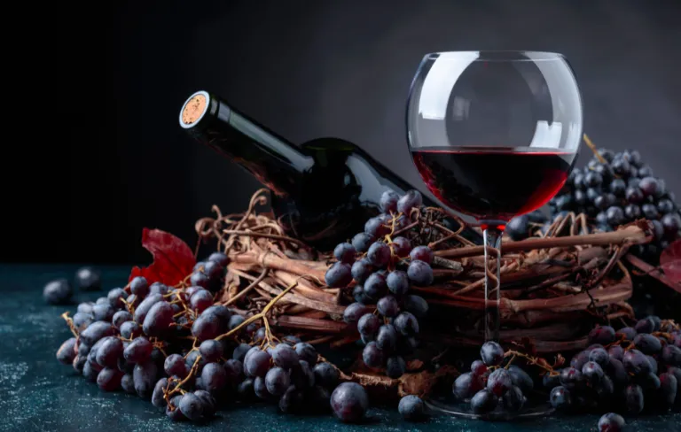 Vinhos Tintos para Iniciantes: As Uvas Essenciais e Opções Acessíveis - Blog Semana Paulistana do Vinho 2026