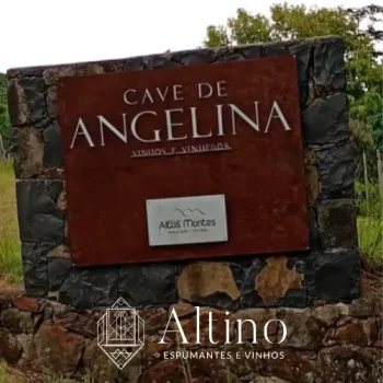 CAVE ANGELINA SHOP