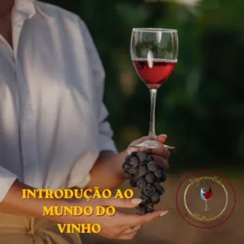 introdução